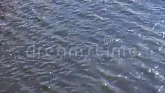水带着温柔的波浪视频的预览图