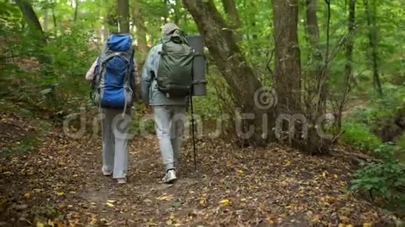 在树林里散步的几位老年游客的后景视频的预览图