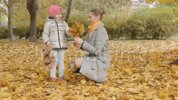 妈妈和宝宝在公园里收集黄叶妈妈吻她女儿视频的预览图