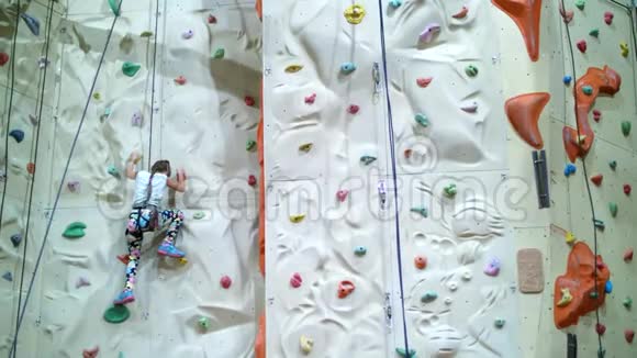 孩子爬上专门的登山墙7岁的女孩在安全设备上从事岩石工作视频的预览图