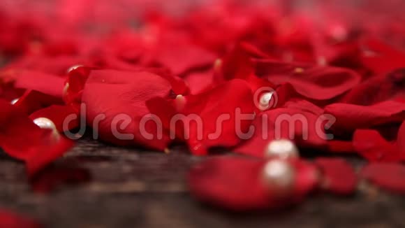 眼泪落在红玫瑰花瓣上视频的预览图