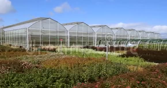 大温室有玻璃墙基础山墙屋顶花园床种植蔬菜的园艺温室视频的预览图