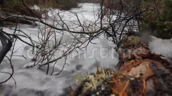 斯堪的纳维亚的春天有湍急的溪流视频的预览图