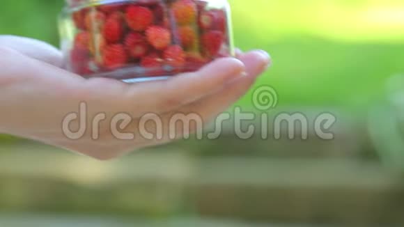 女手用草莓特写视频的预览图