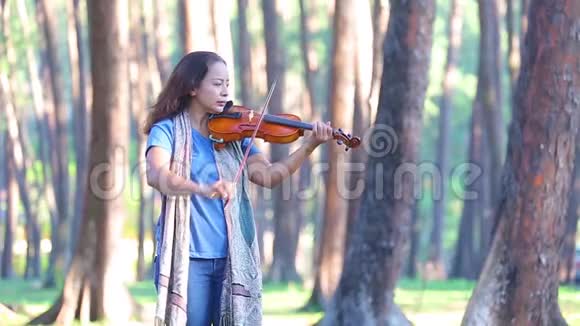 阳光明媚的早晨在松林里拉小提琴的亚洲女人视频的预览图