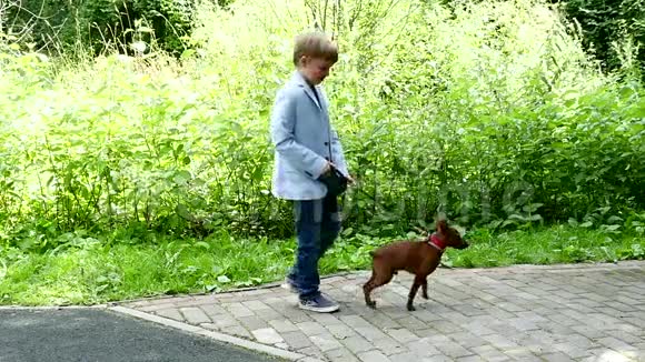 带着狗的小男孩在绿色公园背景下慢动作视频的预览图