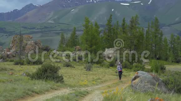 年轻女子带着蓝色背包徒步旅行带着绿草的美丽的山视频的预览图