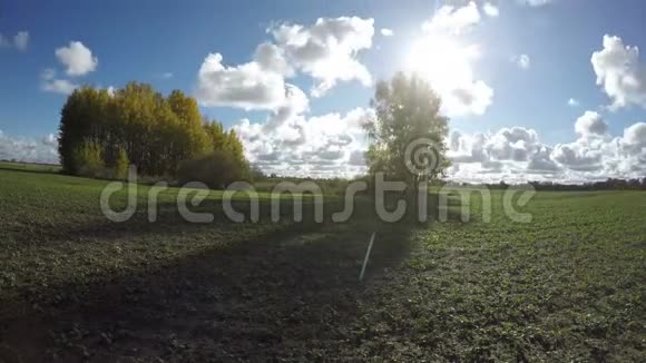 秋天金色的白杨在绿绿的田野和云彩上时光流逝视频的预览图