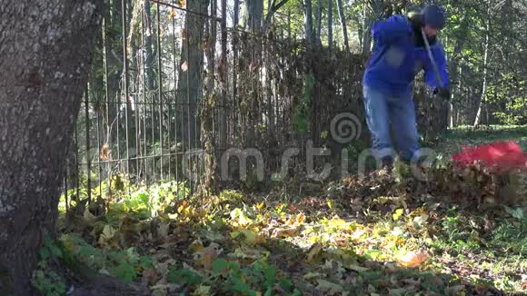 在寒冷的秋日人们用耙子工具在院子里耙树叶4K视频的预览图