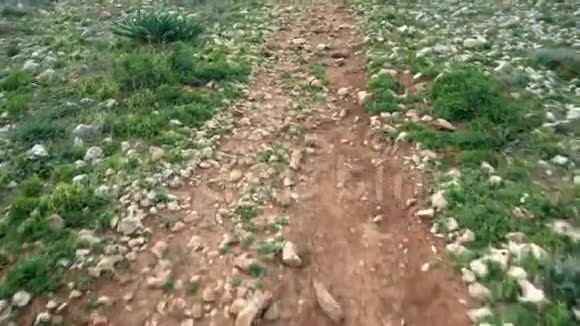 带着岩石和绿草在泥土的乡村道路上行走上景自由无忧概念视频的预览图