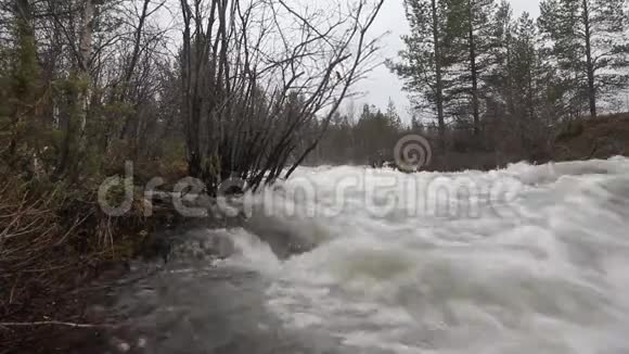 斯堪的纳维亚的春天有湍急的溪流视频的预览图