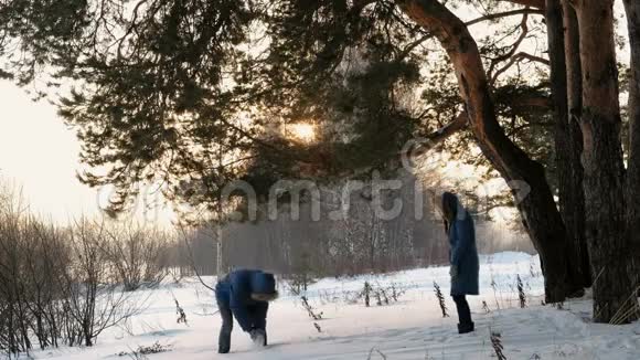 男人和女人在冬天的森林里打雪球冬天森林里的日落视频的预览图