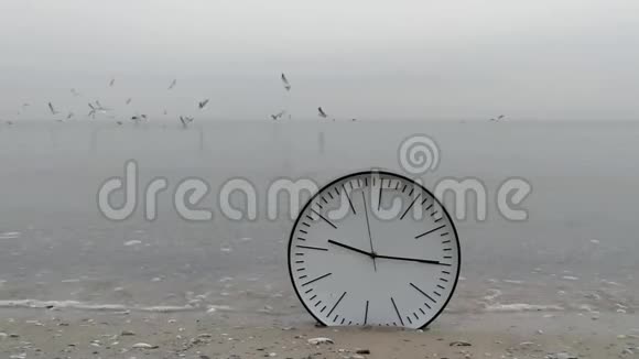 时间概念背景天空中的海鸥沙滩上的水钟视频的预览图