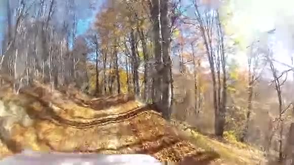 开着一辆车在森林里视频的预览图