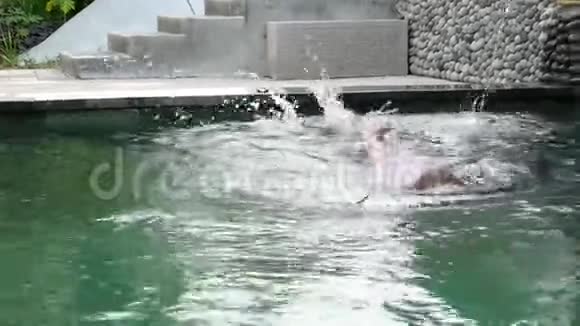 小女孩在游泳池里水下游泳慢动作视频的预览图