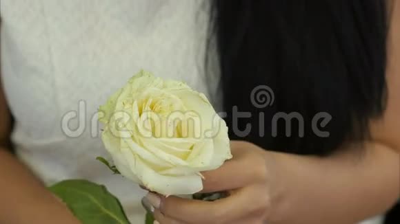 女性手触摸白色玫瑰视频的预览图