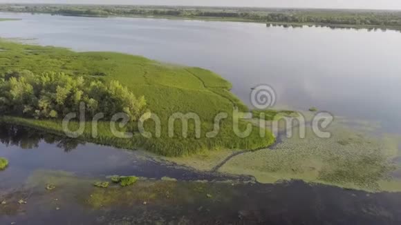 河滩湖河视频的预览图