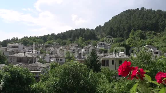 潘噶村景色背后粉红花视频的预览图