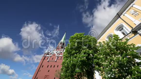 三位一体的塔对天克里姆林宫内部俄罗斯日视频的预览图