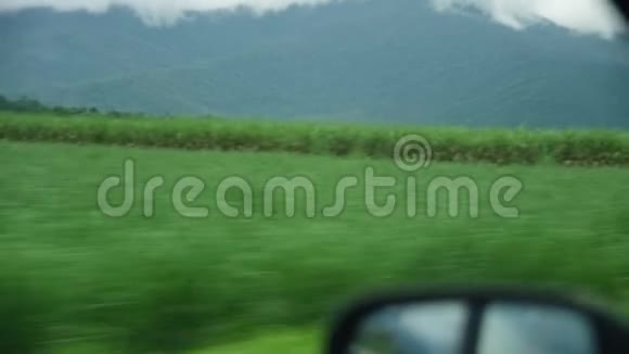 从移动汽车上拍摄的乡村风景视频的预览图
