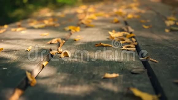 一张旧木桌上黄色的干叶黄叶在绿树的背景下视频的预览图