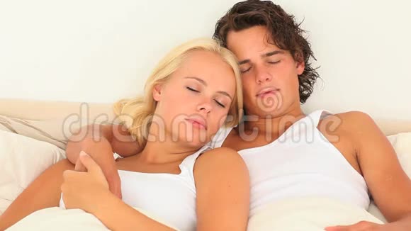 可爱的睡眠伴侣视频的预览图