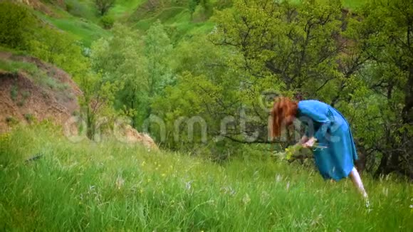 女孩在草地上采花视频的预览图