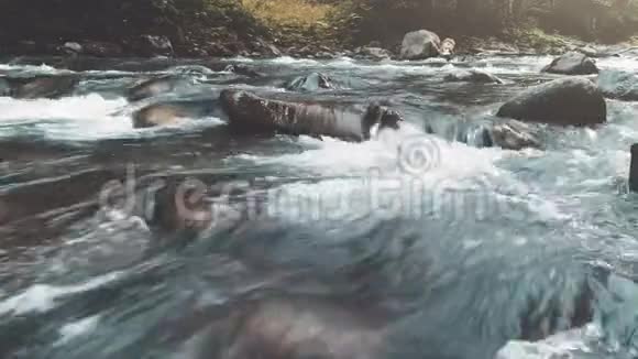 山河在秋林中水特写视频的预览图