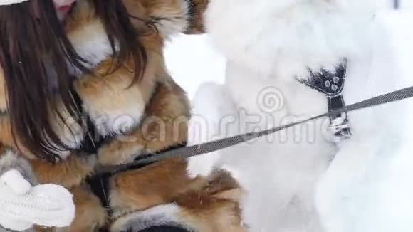 那个女孩在雪地里和哈士奇狗玩耍它咬着她的手慢动作视频的预览图