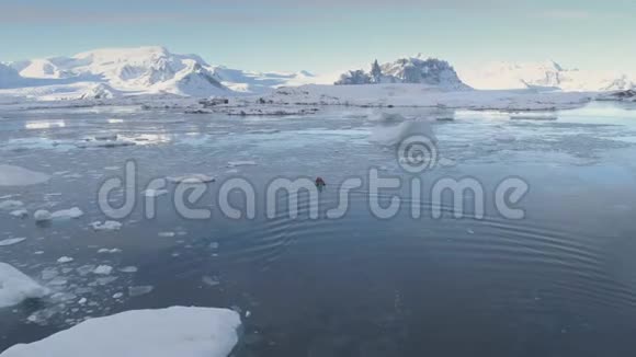 十二生肖船帆冰川跟踪鸟瞰图视频的预览图