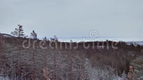 全景观冬山视频的预览图
