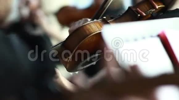 在音乐会上小提琴视频的预览图
