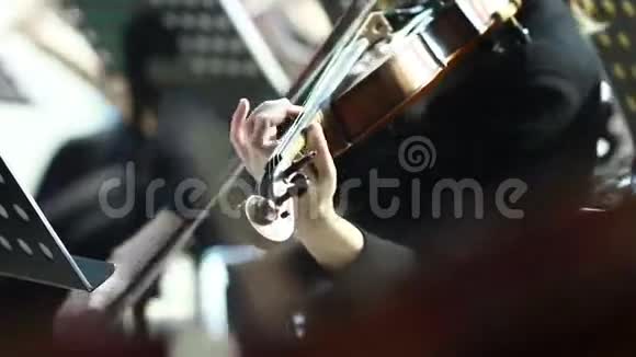 在音乐会上小提琴视频的预览图