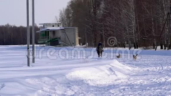 一个女孩驰骋在马背上一匹马正用绳子拖着一个滑雪者一个滑雪者骑在sn的滑雪板上视频的预览图