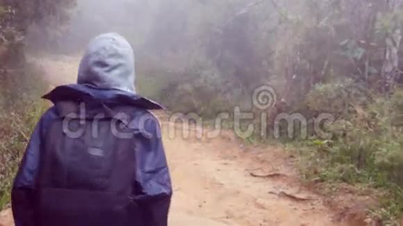 带着背包的旅游女孩在热带森林漫步穿着雨衣在潮湿的树林里散步的女人视频的预览图