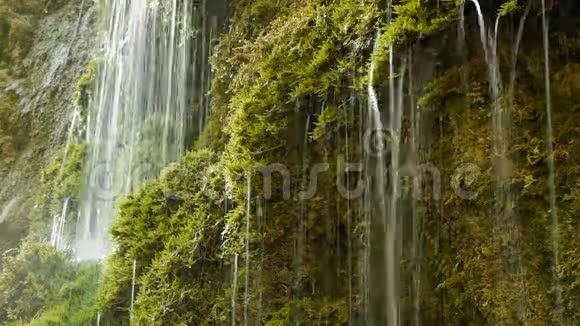 天然水淡水泉瀑布绿色自然视频的预览图
