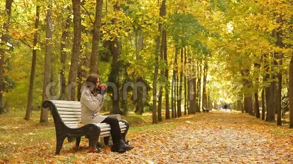 美丽的女孩在秋天公园坐在长凳上喝着杯子里的咖啡视频的预览图