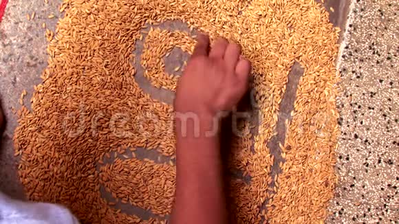 印度文化孩子用泰米尔语写关于水稻种子的信视频的预览图