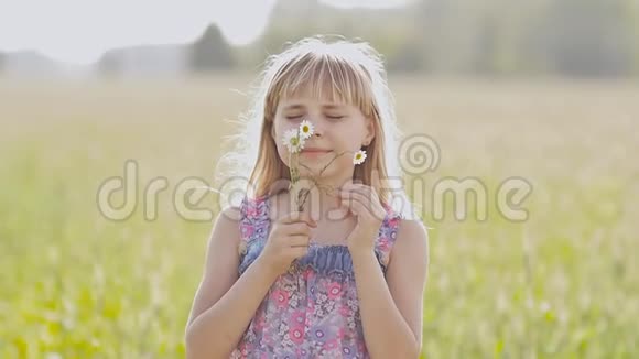一个美丽的小女孩金色的女孩手里拿着洋甘菊的花在夏天摆姿势和旋转视频的预览图