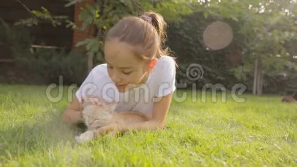 多莉拍了一张微笑的女孩在草地上放松抚摸着红色的小猫视频的预览图