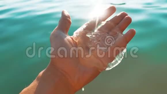 水母在海滩上日落背景水母通过手中的太阳射线和海平面照射透明透明视频的预览图