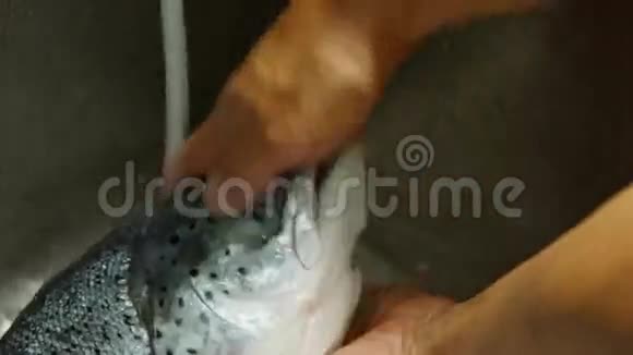 双手洗鱼头视频的预览图