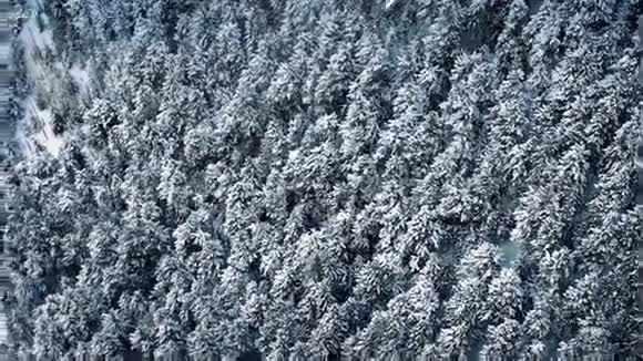 飘过森林伴着雪花飘落视频的预览图