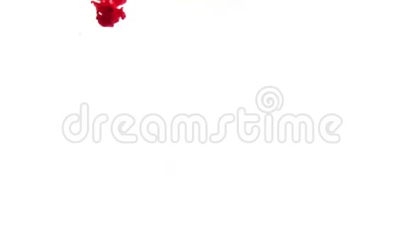 白色背景上的红色油漆爆炸视频的预览图