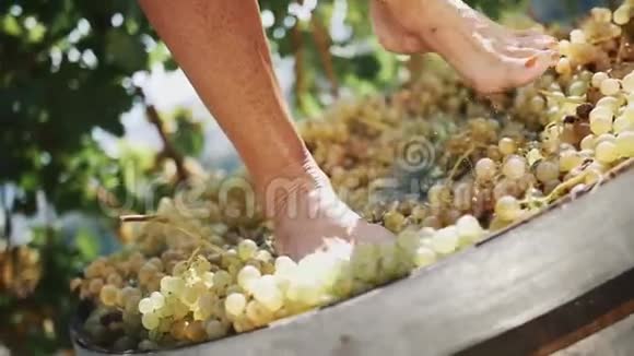 女人的腿在木轴上踩着白葡萄视频的预览图