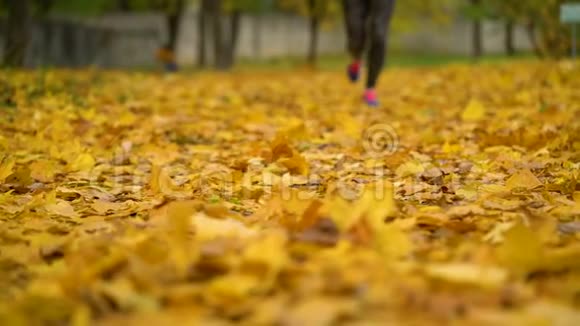 日落时分女人的双腿在秋天的公园里奔跑慢动作视频的预览图