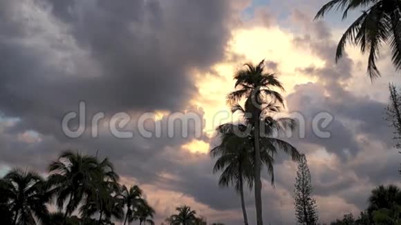 慢锅的热带景象视频的预览图