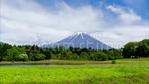 夏天的富士山视频的预览图