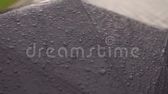 户外黑伞上的水滴特写视频的预览图
