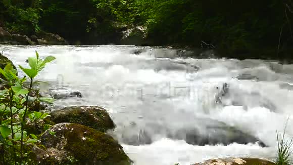 高加索关岛峡谷梅兹梅山区河流水流缓慢视频的预览图